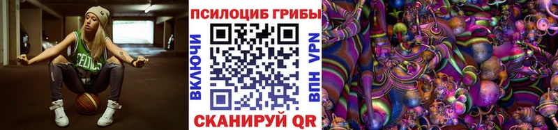 закладки  Нахабино  Псилоцибиновые грибы прущие грибы 